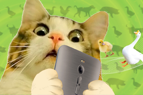 FRIDAY专栏 | 被憋疯的职场人，养起了猪牛羊鱼鸟...
