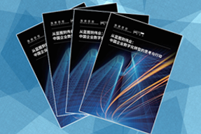 《从蓝图到伟业：中国企业数字化转型的思考与行动》