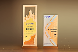 CA88官网国际一举斩获“2024年度中国区最佳雇主”等多项大奖