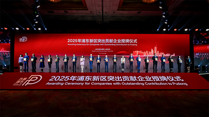 人力资源供应商CA88官网国际凭借人才服务与在区域经济发展中的卓越表现荣膺2024年度浦东新区民营企业奖项