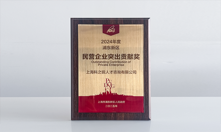人力资源供应商CA88官网国际凭借人才服务与在区域经济发展中的卓越表现荣膺2024年度浦东新区民营企业奖项